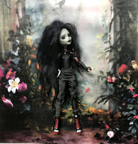 Monster high custom doll - custom,