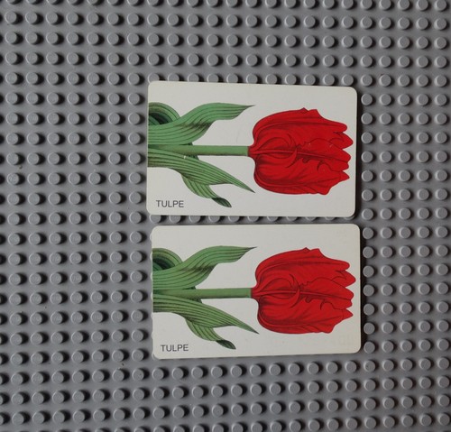 Telefonkarte tulpe - telefonkarte,
