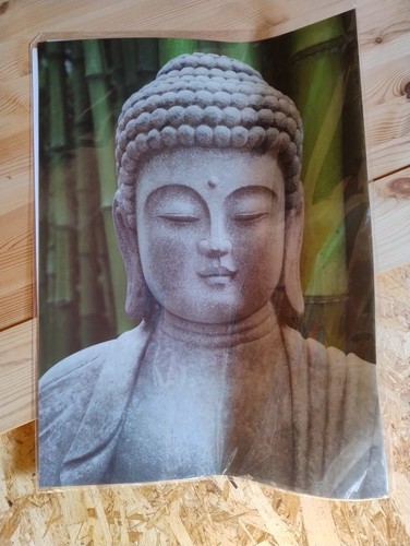 Wandbild melinera buddha - wandbild,
