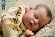 Studio-Puppe Baby JUNGE Reborn Noah von Reva Schick 21 Zoll