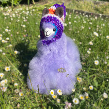 Alpaka Pullover mit Muster Gr