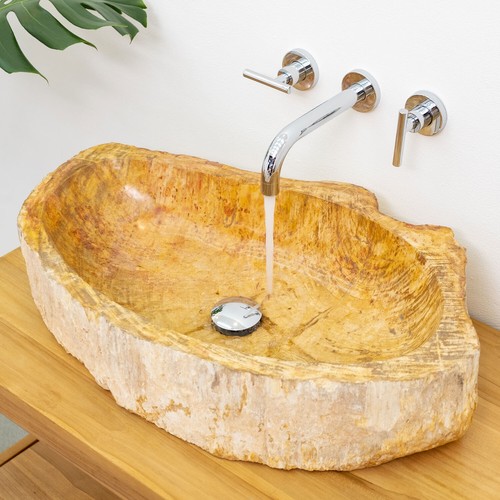Fossiles holz hand - fossiles,