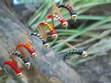 Gilchrist Fliegen. 3 x  GOLDKOPFNYMPHEN KOECHER. Auswahl von Farben & Größe