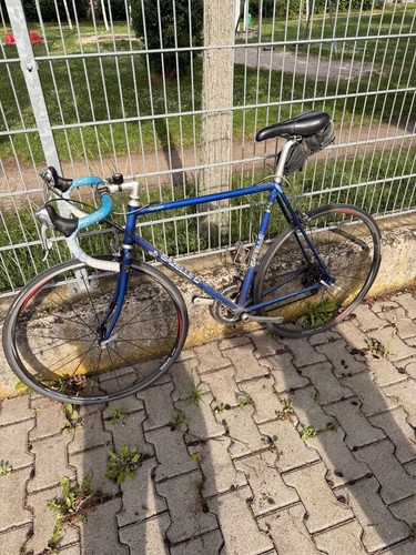 Gazelle champion rennrad - gazelle,