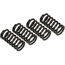 VESRAH SK-102 Kupplungsfedern