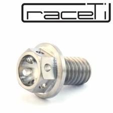 M6 Titan Bolzen 12mm Sechskant