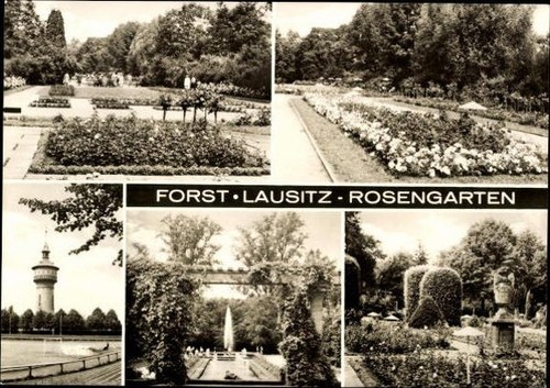 Alte forst in - forst, der