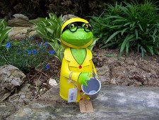 Zaunhocker Regen Frosch Eimer