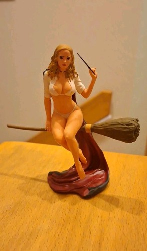 Hermine auf besen harry - (,