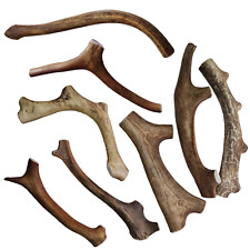 Kauknochen Rentiergeweih Kaugeweih Geweihsnack Hund Belohnung Chewinghorn Geweih