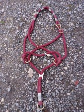 Dunkelrotes Monty Roberts Be