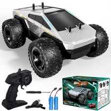 RC-Auto Monster Truck