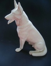 Weißer Schäferhund Göbel