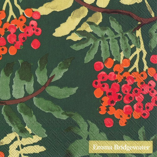 Eberesche zweig beeren - zweig, 20