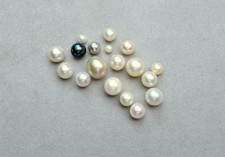 Edelsteine, Echte "Akoya" Perlen, für Ersatz und Reparaturen, ( 4/4 Angebohrt )