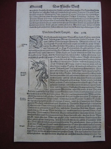 Sebastian münster - sebastian,