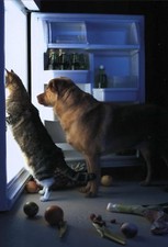 Postkarte: Mitternachtsimbiß