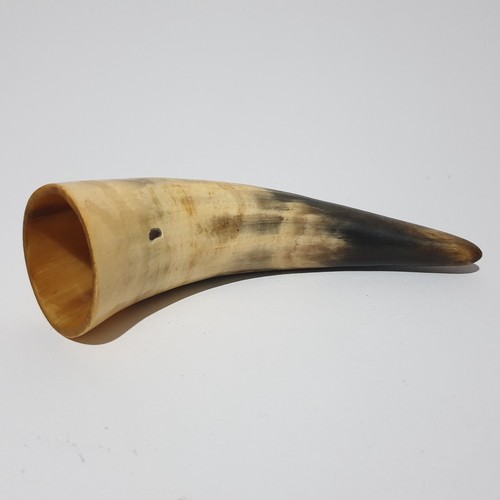 Echtes ochsenhorn wikinger - echtes,