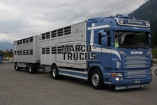 LKW Foto Scania R-series Viehtransporter Schweiz blau Brühlmann Tiertrans #j9hg