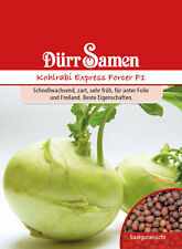 Kohlrabi Express Forcer F1 Kohlrabisamen Samen von Dürr Samen ca 50 Korn