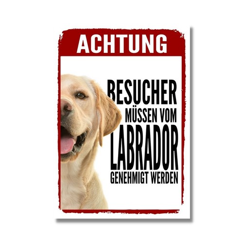 Labrador genehmigung dog - labrador,