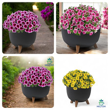 Blumentopf mit füßen schale - mit,