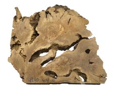 1x Oliven Wurzelholz