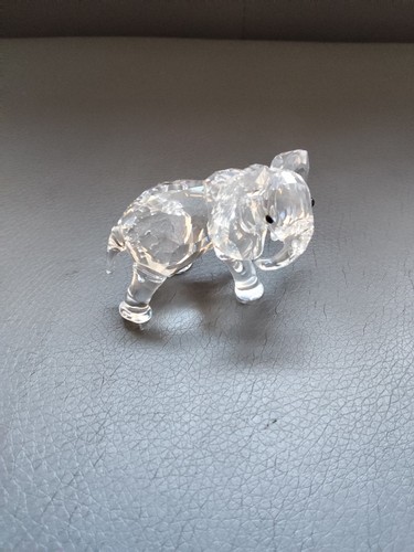 Elefant bay jungtier der - elefant,