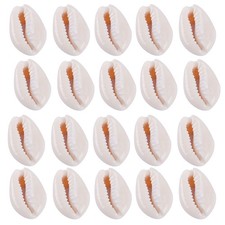 50stk Kauri Muscheln gebohrt