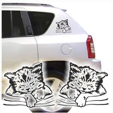 Katze Katzen  Auto Aufkleber Sticker Kitty Katzenkind Kätzchen 2er SET A213 