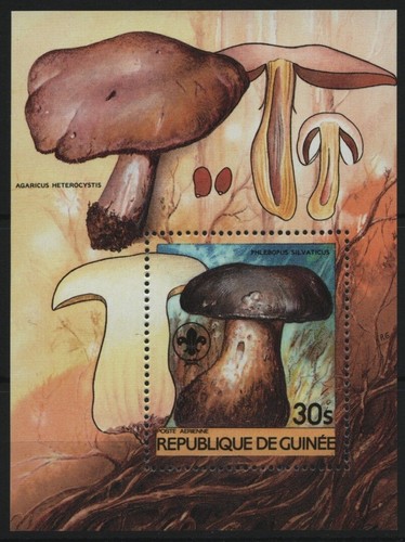 Guinea 1985 block 128 - guinea,