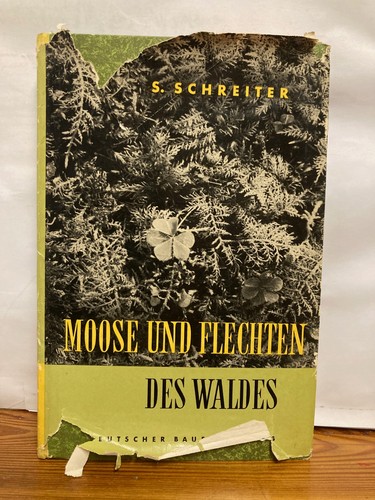 Moose und flechten des waldes - moose,