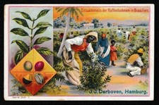 Germany 1900 J.J. Darboven