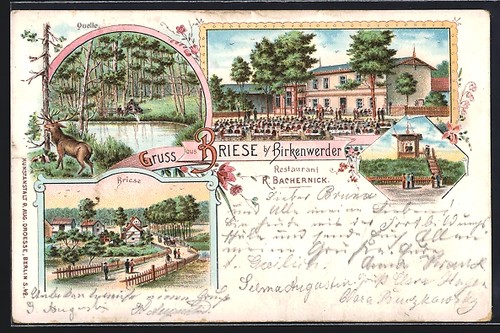 Lithographie briese - lithographie,
