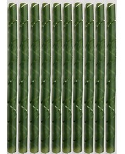 10 Baumschutz Spiralen