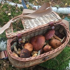 Pilzkorb sammelkorb pilzmesser - sammelkorb,