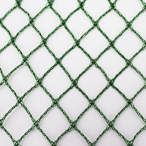 Robustes teichnetz - robustes,