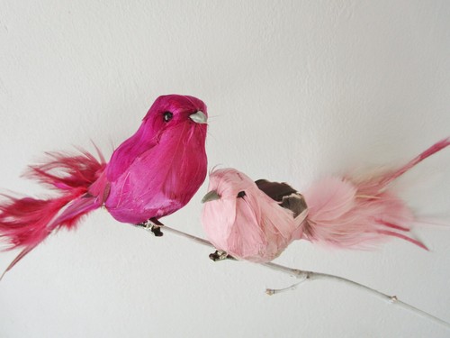 Vogel mit clip - st.,