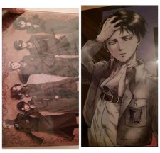 Attack On Titan Levi Erwin