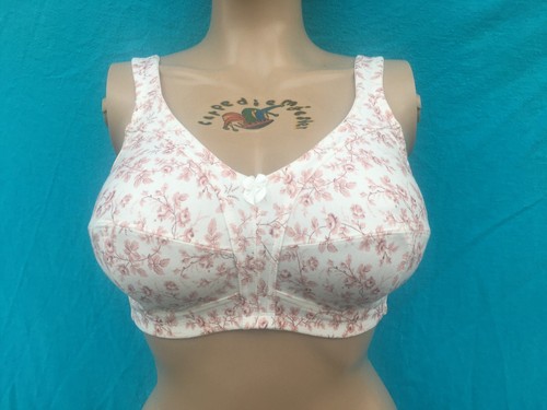 Susa red flowers