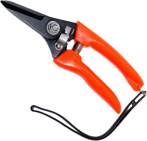 Klauenschere fuß rot für - klauenschere,
