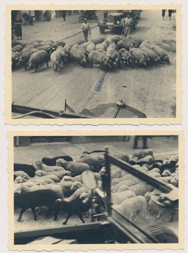 Foto legion condor - foto,
