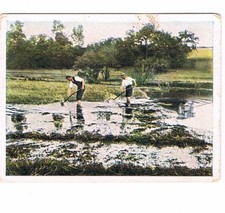 Auf Deutscher Scholle Nr. 95