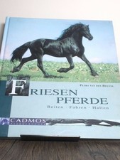 Friesenpferde, Reiten, Fahren