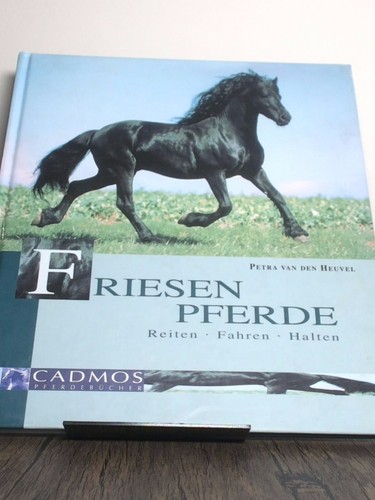 Friesenpferde reiten fahren - friesenpferde,,