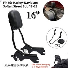 Schwarz Sissy Bar Rückenlehne