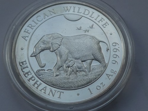 Somalia 100 shillings 2021 - ,,
