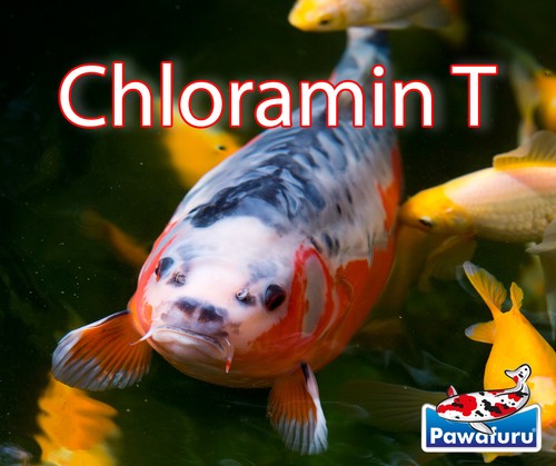 Chloramin beseitigt - chloramin, -t