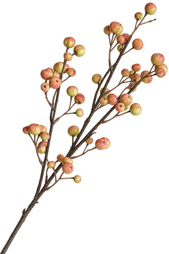 Beeren zweig malve lila - beeren, 78