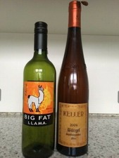 Leere Weinflaschen  2 Stück